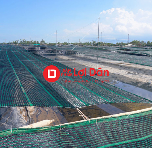 Lưới che nắng Liên Doanh Lan Net 11 luoi che nang trong nuoi trong thuy san