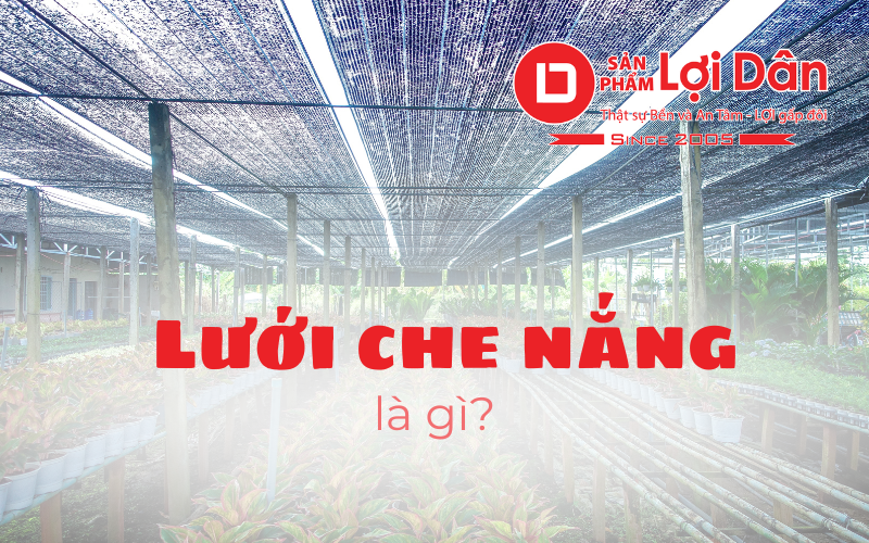 Lưới che nắng là gì? hướng dẫn chọn lưới che nắng cho phù hợp 1 Huong dan 7