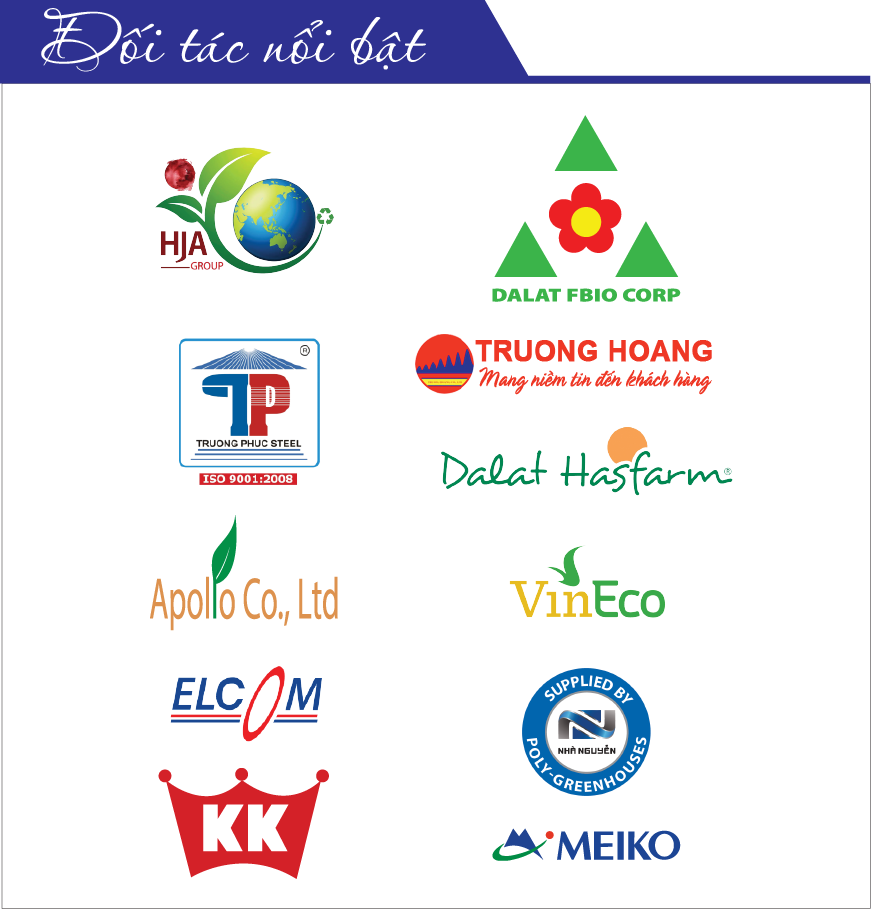 Kỹ thuật trồng hoa hướng dương