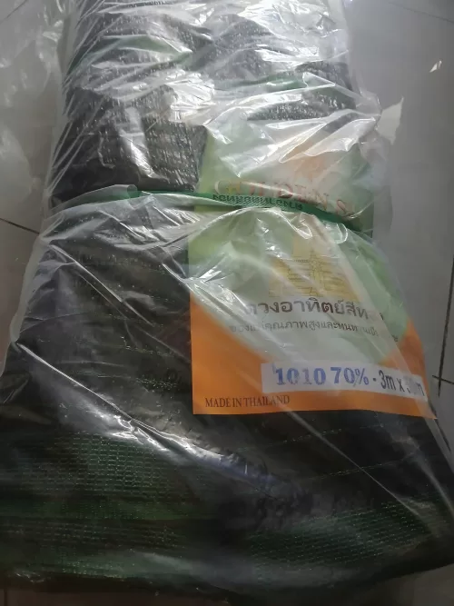 z6600873668502 57df4a36011a72637149ffda7785eef3