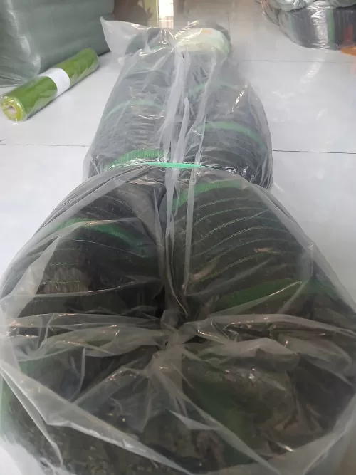z6600874354853 d0958cf2e7d15173e80ff6f75721077e
