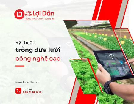 Kỹ Thuật Trồng Dưa Lưới Công Nghệ Cao: IoT, Cảm Biến Độ Ẩm và tưới tự động 3 Ky thuat 10