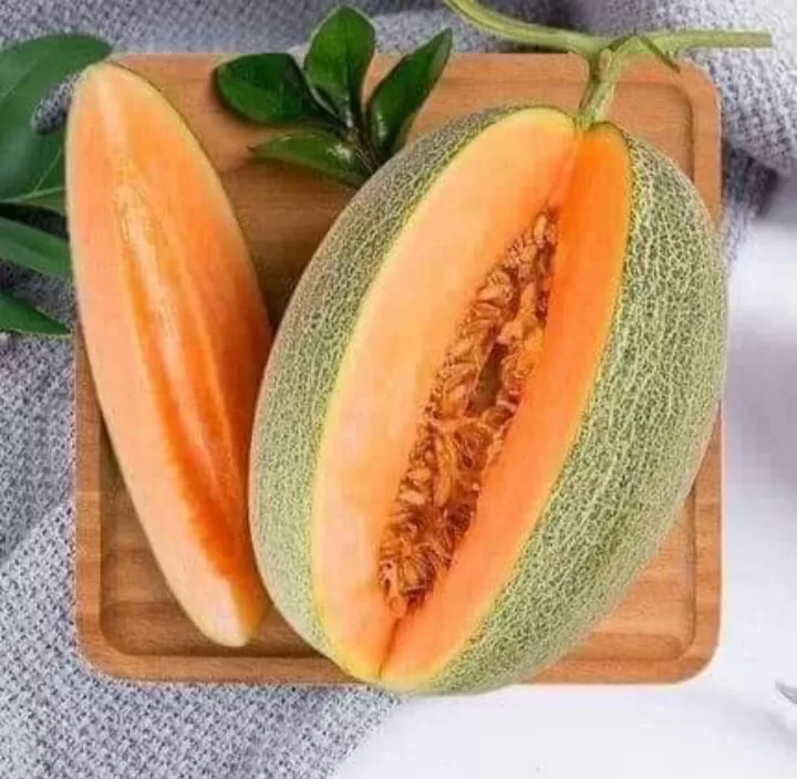 Phân biệt giống dưa lưới: Ưu nhược, kháng bệnh, nguồn giống 3 dưa lưới Hami