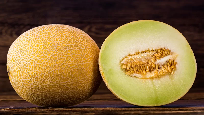 Phân biệt giống dưa lưới: Ưu nhược, kháng bệnh, nguồn giống 2 dưa lưới Galia