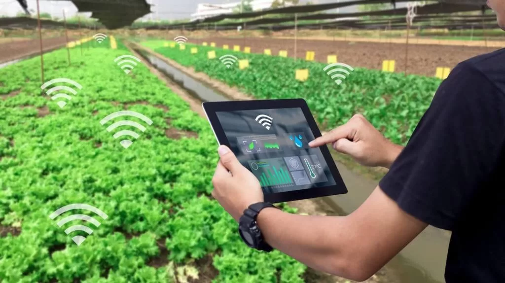 Kỹ Thuật Trồng Dưa Lưới Công Nghệ Cao: IoT, Cảm Biến Độ Ẩm và tưới tự động 1 IoT trong nông nghiệp là xu hướng tương lai