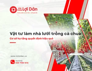 Vật tư làm nhà lưới trồng cà chua: Cơ sở hạ tầng quyết định hiệu quả 26 Ky thuat 2